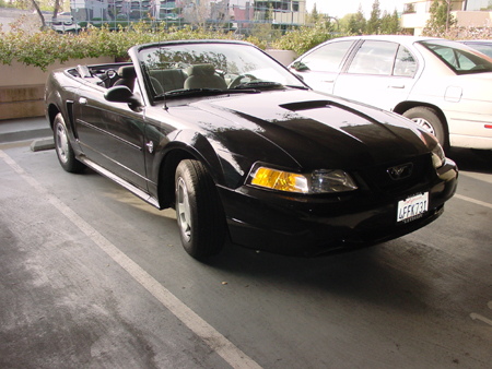 stang5